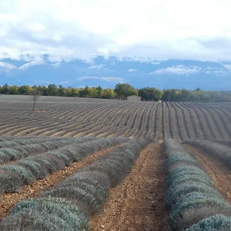 Belle Longere Au Calme - L'auguste Dom wakacyjny *