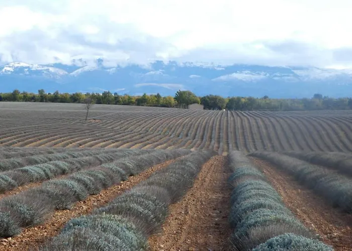 Belle Longère Au Calme - L'auguste Casa vacanze *